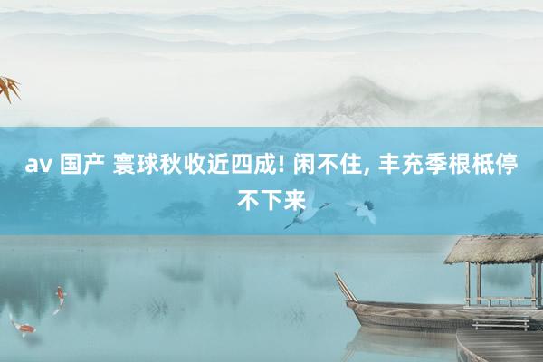 av 国产 寰球秋收近四成! 闲不住， 丰充季根柢停不下来