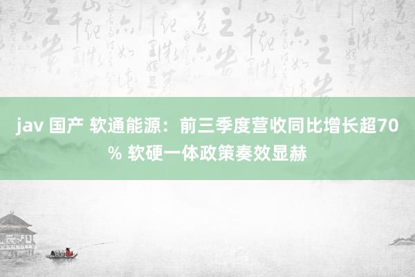 jav 国产 软通能源：前三季度营收同比增长超70% 软硬一体政策奏效显赫