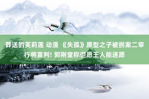 葬送的芙莉莲 动漫 《失孤》原型之子被拐案二审行将宣判! 郭刚堂称但愿王人能遂愿