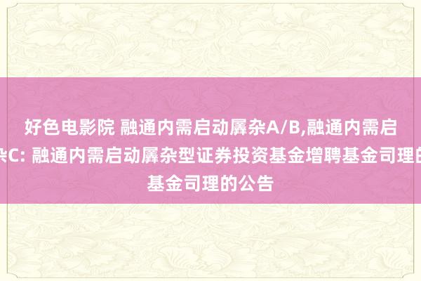 好色电影院 融通内需启动羼杂A/B,融通内需启动羼杂C: 融通内需启动羼杂型证券投资基金增聘基金司理的公告