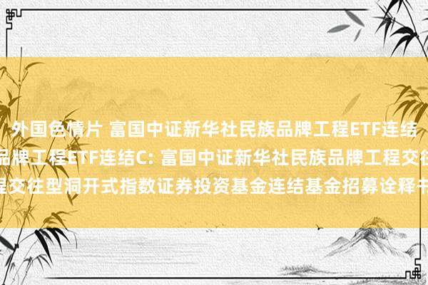 外国色情片 富国中证新华社民族品牌工程ETF连结A,富国中证新华社民族品牌工程ETF连结C: 富国中证新华社民族品牌工程交往型洞开式指数证券投资基金连结基金招募诠释书(更新)(二0二四年第一号)