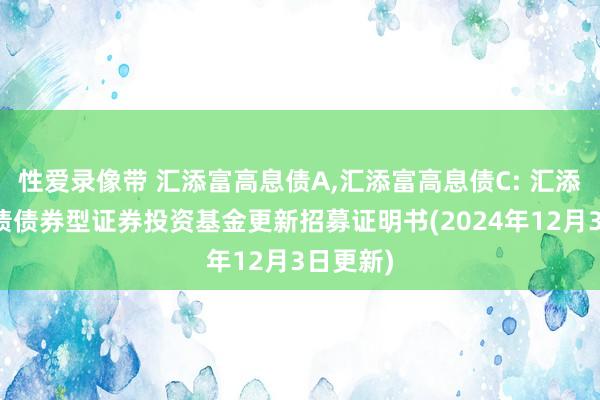 性爱录像带 汇添富高息债A,汇添富高息债C: 汇添富高息债债券型证券投资基金更新招募证明书(2024年12月3日更新)