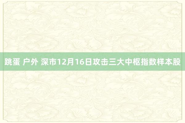 跳蛋 户外 深市12月16日攻击三大中枢指数样本股
