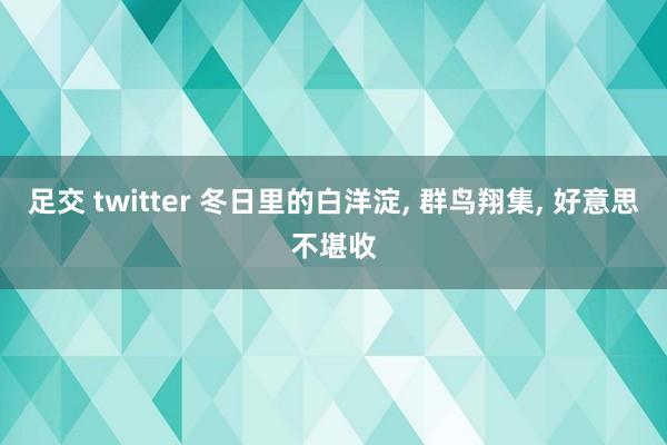 足交 twitter 冬日里的白洋淀， 群鸟翔集， 好意思不堪收
