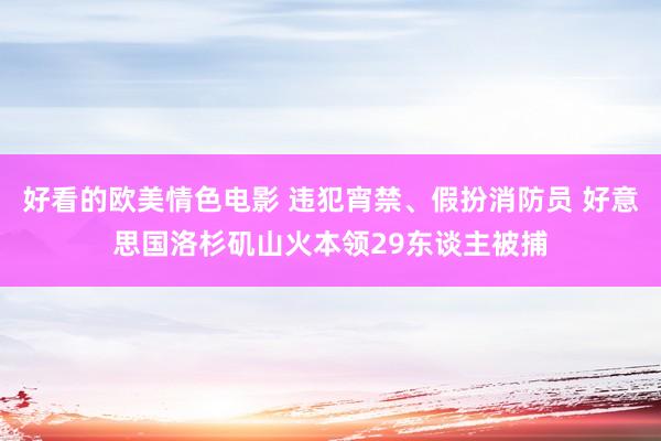 好看的欧美情色电影 违犯宵禁、假扮消防员 好意思国洛杉矶山火本领29东谈主被捕