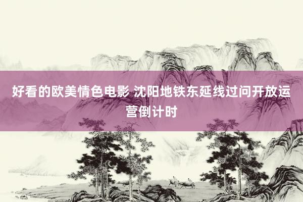 好看的欧美情色电影 沈阳地铁东延线过问开放运营倒计时