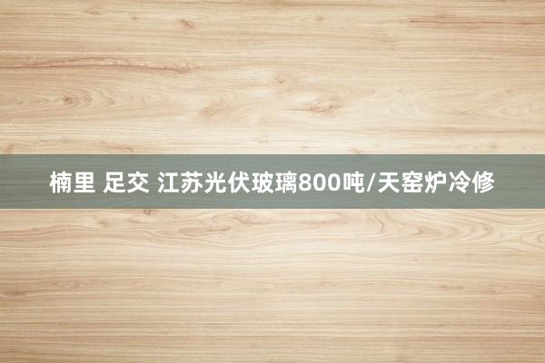 楠里 足交 江苏光伏玻璃800吨/天窑炉冷修