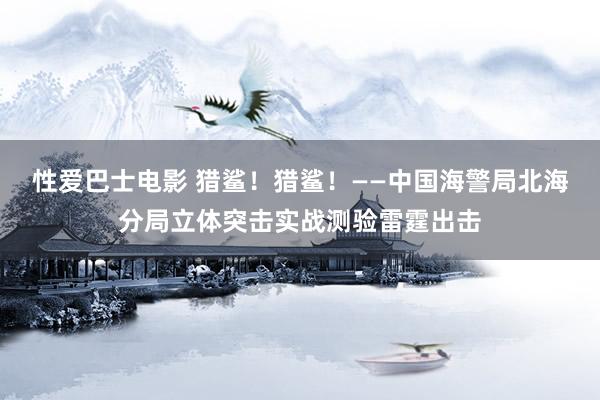 性爱巴士电影 猎鲨！猎鲨！——中国海警局北海分局立体突击实战测验雷霆出击