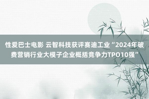 性爱巴士电影 云智科技获评赛迪工业“2024年破费营销行业大模子企业概括竞争力TPO10强”
