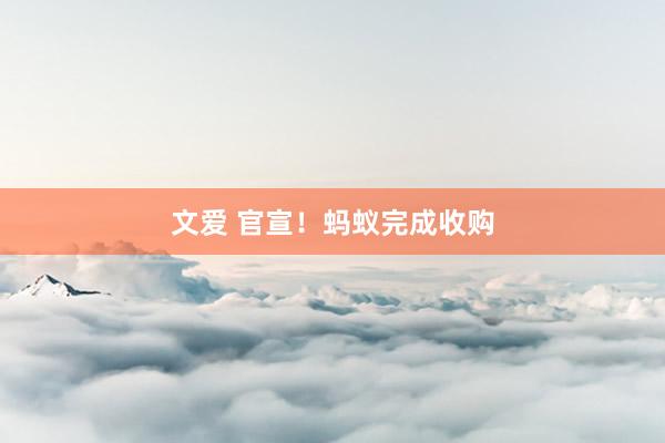 文爱 官宣！蚂蚁完成收购