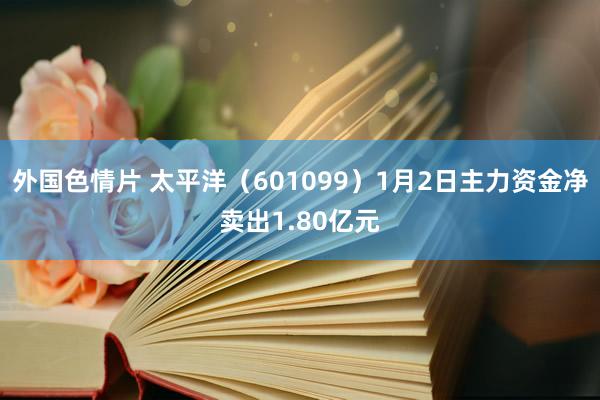 外国色情片 太平洋（601099）1月2日主力资金净卖出1.80亿元