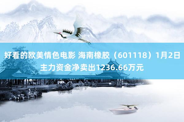 好看的欧美情色电影 海南橡胶（601118）1月2日主力资金净卖出1236.66万元