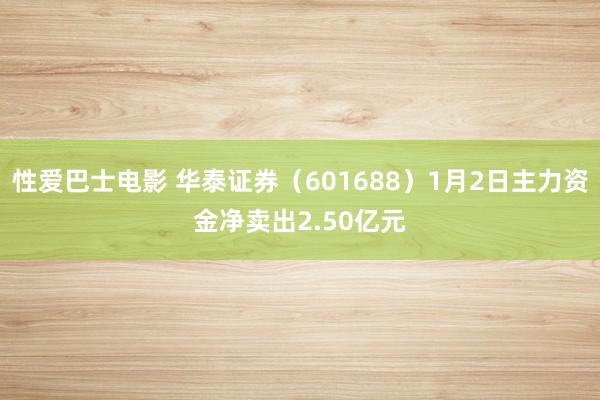 性爱巴士电影 华泰证券（601688）1月2日主力资金净卖出2.50亿元