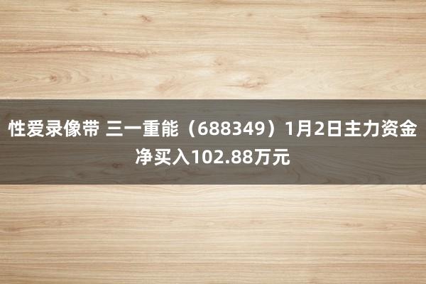 性爱录像带 三一重能（688349）1月2日主力资金净买入102.88万元