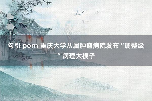勾引 porn 重庆大学从属肿瘤病院发布“调整级”病理大模子