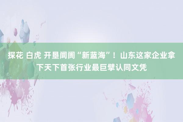 探花 白虎 开垦阛阓“新蓝海”！山东这家企业拿下天下首张行业最巨擘认同文凭