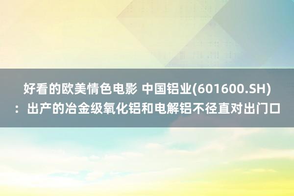 好看的欧美情色电影 中国铝业(601600.SH)：出产的冶金级氧化铝和电解铝不径直对出门口