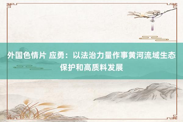外国色情片 应勇：以法治力量作事黄河流域生态保护和高质料发展
